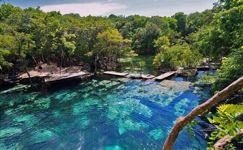 cenote de Riviera Maya aguas cristalinas