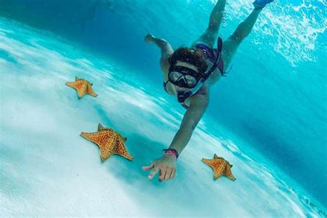 snorkel en El Cielo Cozumel estrellas mar