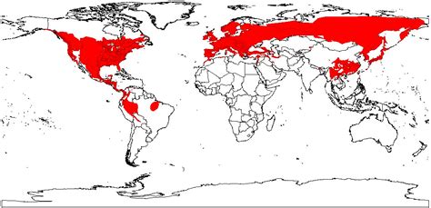 Mapa mundial de distribución de especies de aves