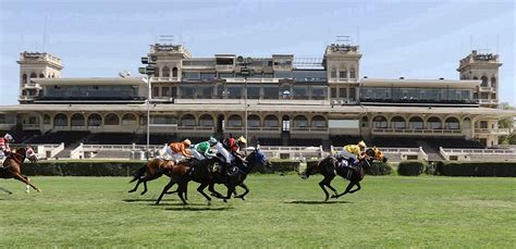 Caballos y caballerizas del Club Hípico de Santiago