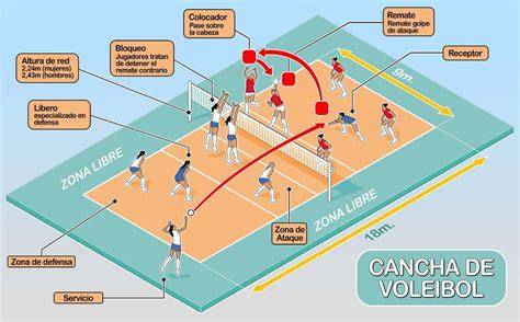 Cancha de voleibol con zonas y posiciones