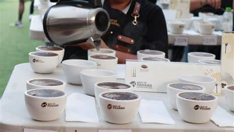 Subasta internacional de café de especialidad