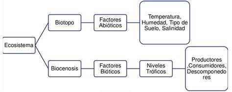 Esquema sociedad de productores consumidores