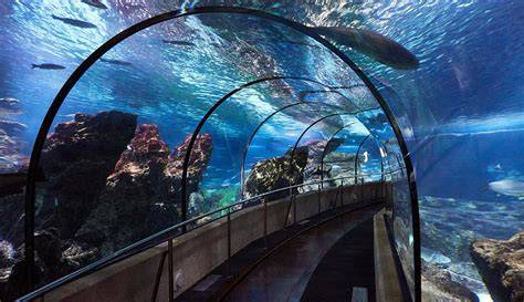 túnel submarino con tiburones Aquarium Barcelona