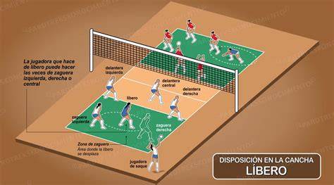 Posiciones del líbero en cancha de voleibol