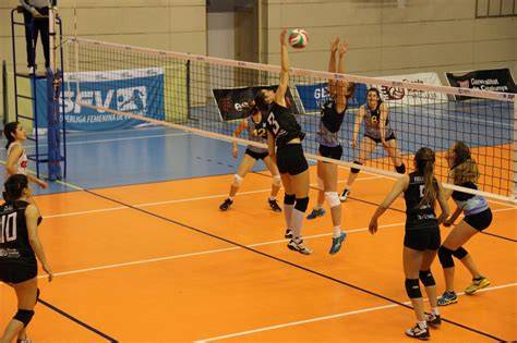 cancha de voleibol y red