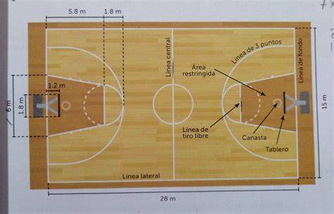 cancha de básquetbol medidas oficiales