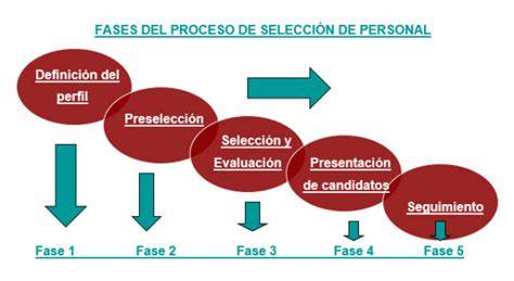fases del proceso de selección laboral