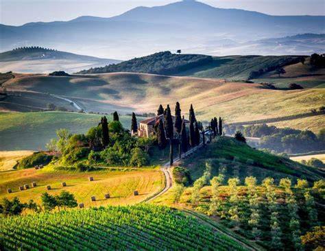 Viñedos en la Toscana italiana