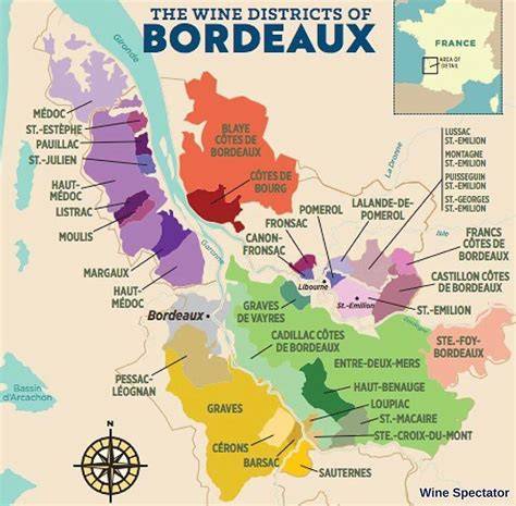 Viñedo de Burdeos en Francia