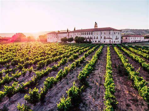 Viñedo tradicional de Portugal