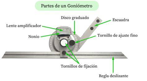 Goniómetro universal y sus partes