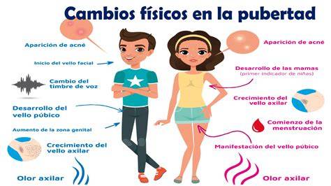 cambios hormonales durante la pubertad