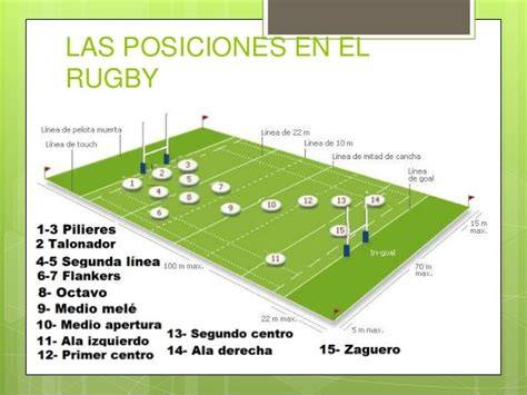 posiciones de rugby campo dorsales