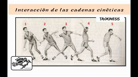 Cadena cinética del lanzamiento de balonmano