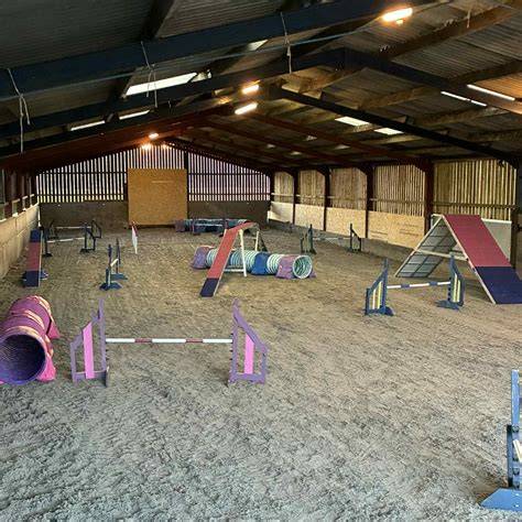 Obstáculos agility instalados sobre arena