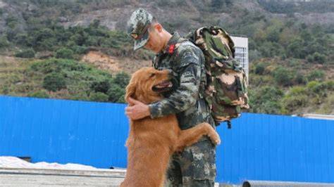 Perro explorador con adiestrador militar