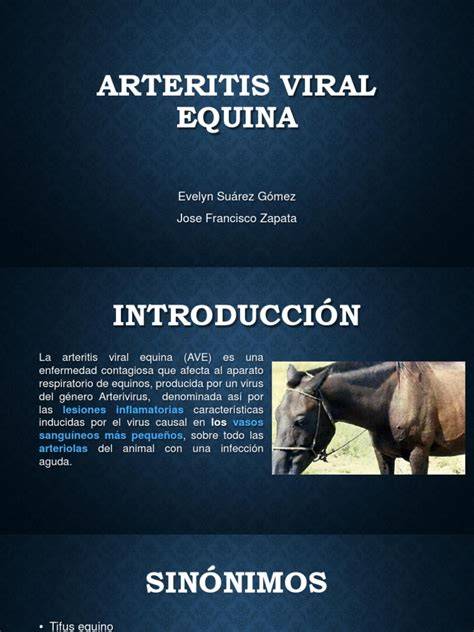 Virus de arteritis equina y vasos sanguíneos