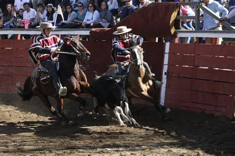 Medialuna y rodeo chileno en Frutillar