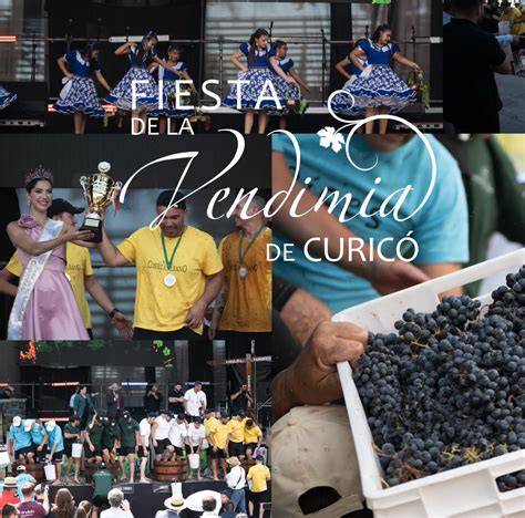 Indumentaria Curicó Unido inspirada en vendimia