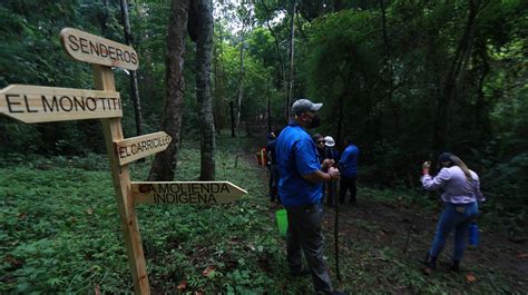 Sendero interpretativo en bosque tropical