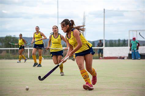 Equipo básico de hockey sobre césped
