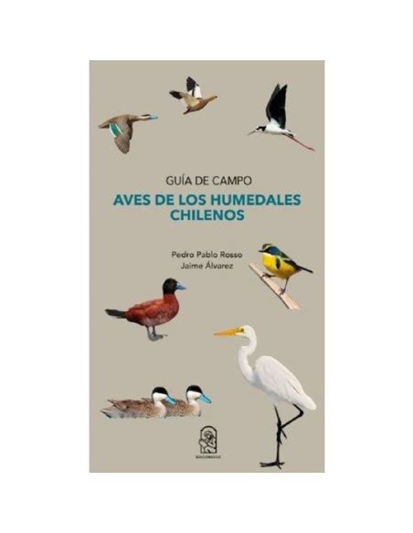 Fotografía de aves en humedales chilenos