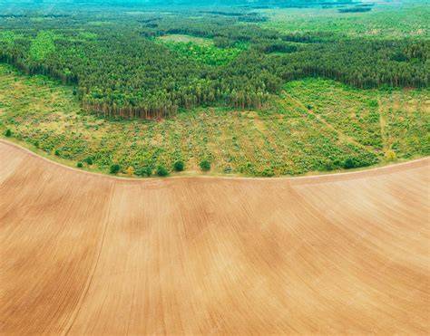 Vista aérea del campo y secaderos de bacalao