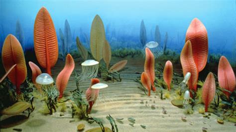 Fauna marina del período Ediacárico