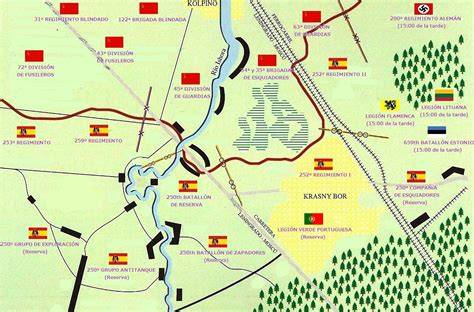 Batalla de Krasni Bor mapa y posiciones