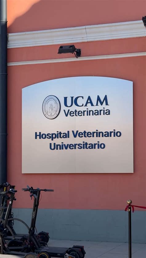 Hospital veterinario universitario y cirugía animal