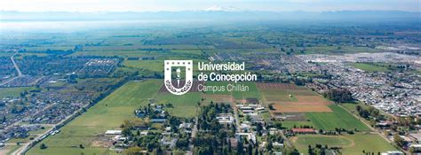 Universidad de Concepción celebra triunfo en Calama