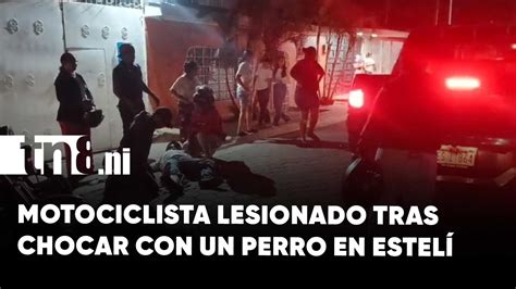 perro con espolón lesionado