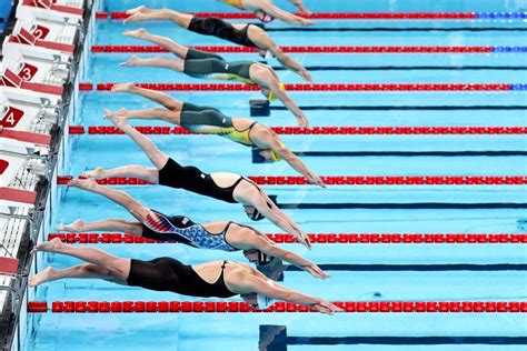 Competidores de natación en piscina olímpica