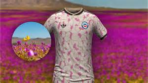 camiseta rosada desierto florido Chile