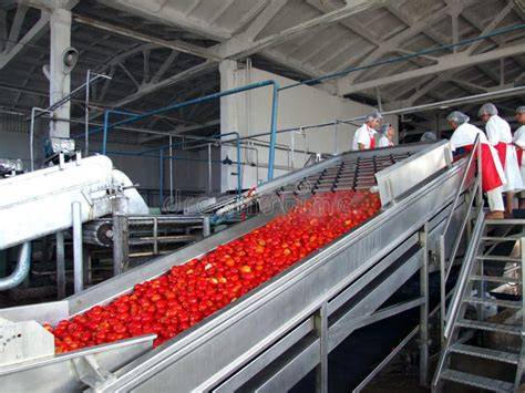 Planta agroindustrial de procesamiento de tomates