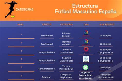 estructura de categorías rugby ARUSA