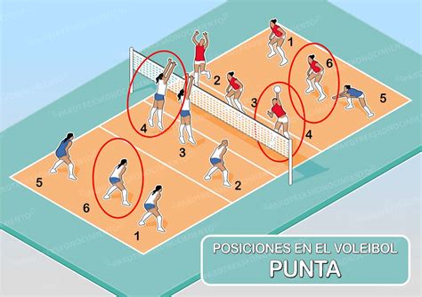 Posiciones de jugadoras de voleibol