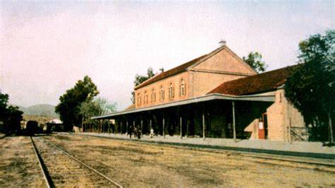 Antiguo eucaliptus frente estación ferroviaria