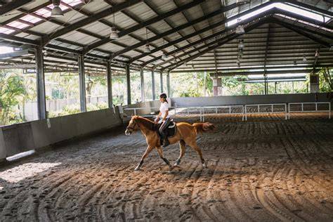 Entrenamiento de caballos en pista
