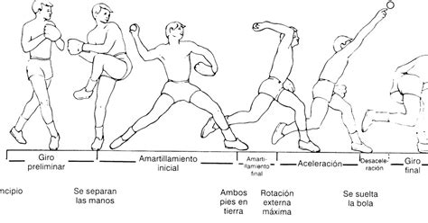 Fases biomecánicas del lanzamiento de béisbol