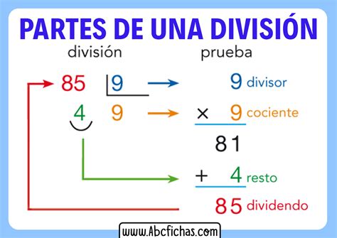 Esquema de partes de una división