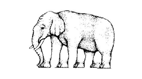 Ilusión óptica elefante y pueblo