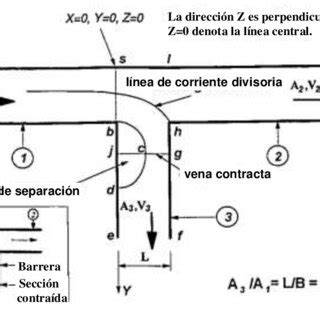 Esquema de bifurcación axónica en T