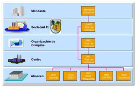 estructura organizativa de ventas SAP