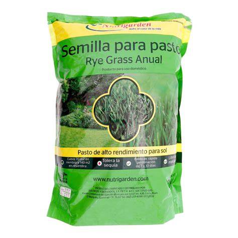 semilla de pasto para cancha deportiva