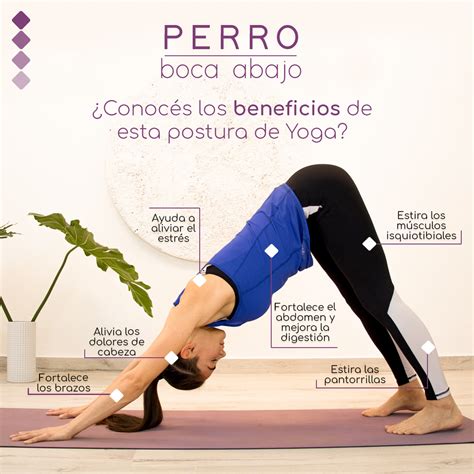 alineación perro boca abajo yoga