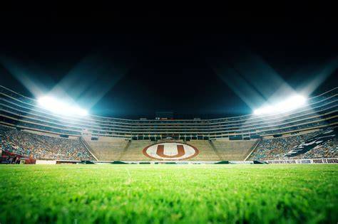 estadio de fútbol multiuso con conciertos