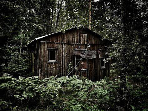 cámara de vídeo abandonada en bosque