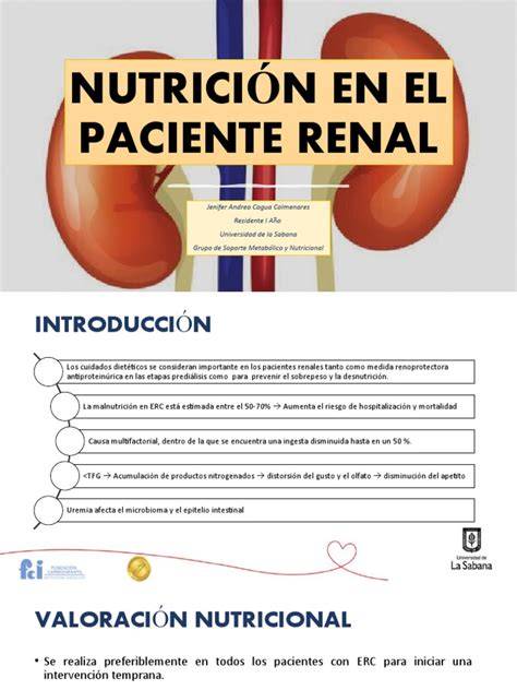 Diálisis y soporte nutricional renal